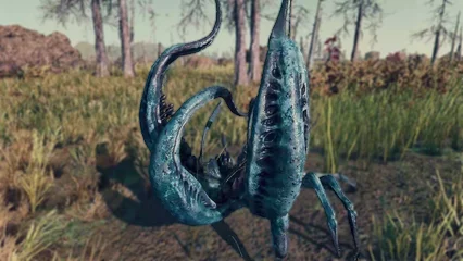 coralcrawler-337.webp