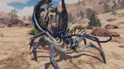 coralcrawler-344.webp