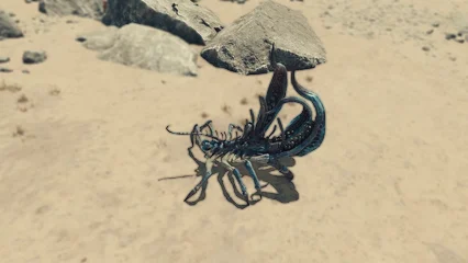 coralcrawler-382.webp