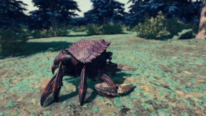 crab-302.webp