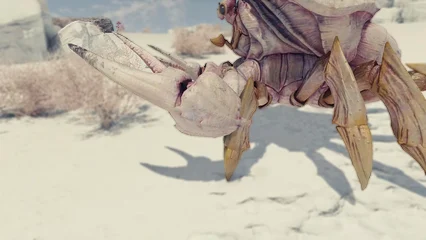 crab-364.webp