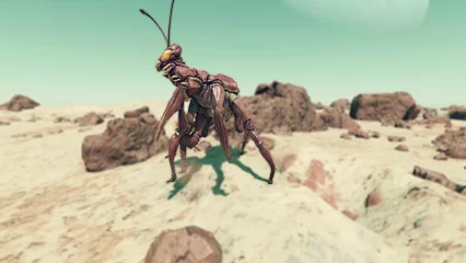cricket-301.webp
