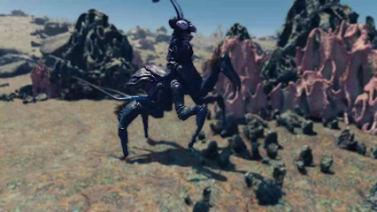 cricket-356.webp