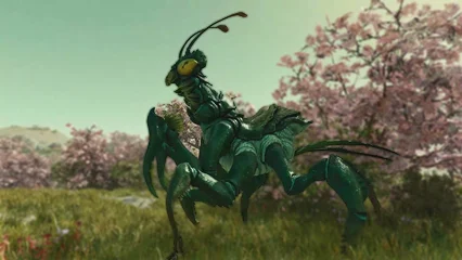 cricket-379.webp