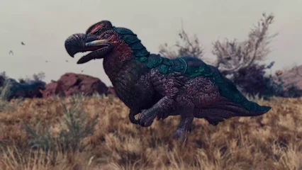 dodo-300.webp