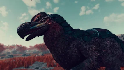 dodo-306.webp