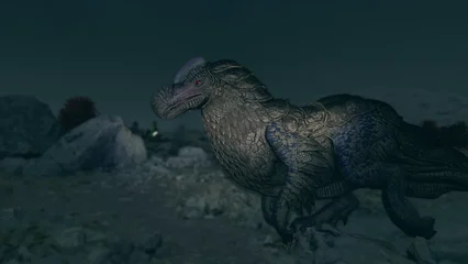 dodo-312.webp