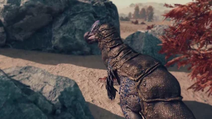 dodo-319.webp