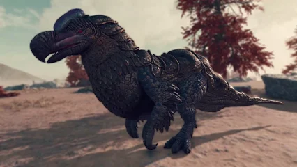 dodo-325.webp