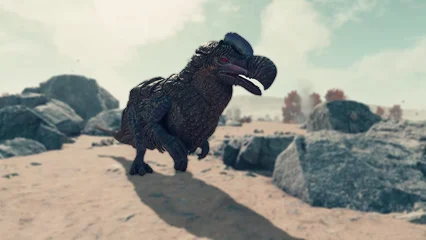 dodo-338.webp