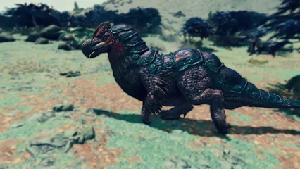 dodo-344.webp
