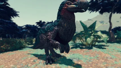 dodo-372.webp