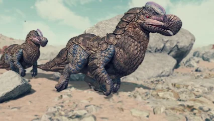 dodo-375.webp