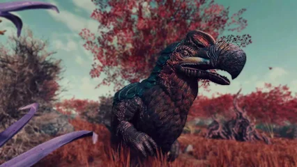 dodo-382.webp