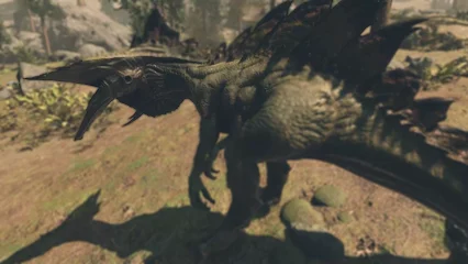 hammersaur-324.webp