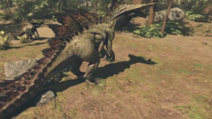 hammersaur-328.webp