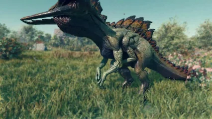 hammersaur-341.webp