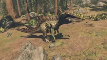 hammersaur-357.webp