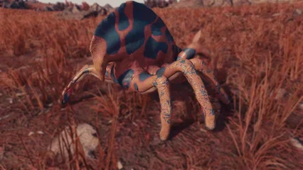 horsemander-347.webp