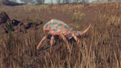 horsemander-376.webp