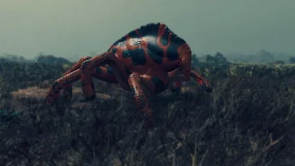 horsemander-381.webp