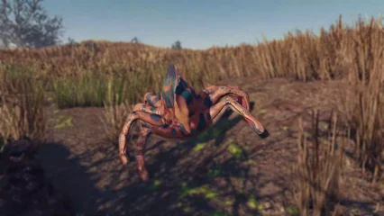 horsemander-387.webp