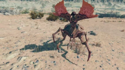 leafstrider-376.webp