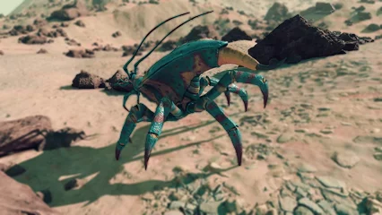 longhorn-308.webp