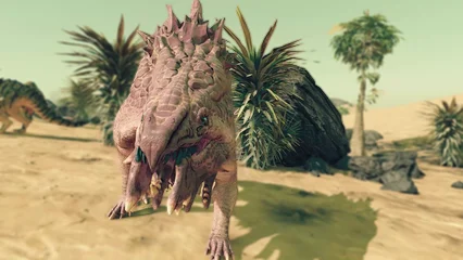 maw-371.webp