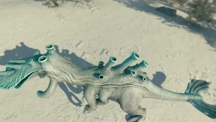 reefwalker-359.webp