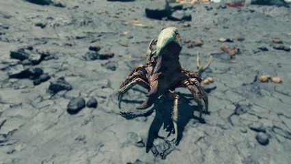 scorpion-376.webp