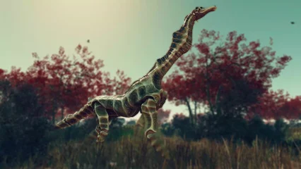 seahorse-303.webp