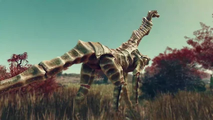 seahorse-306.webp