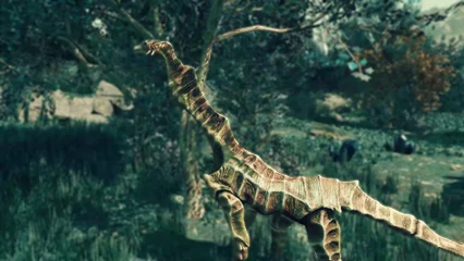 seahorse-312.webp