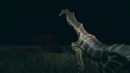 seahorse-324.webp