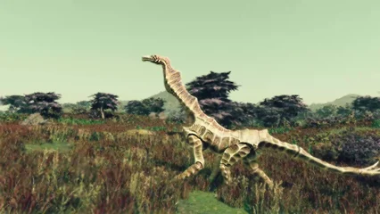 seahorse-327.webp