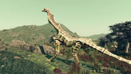 seahorse-336.webp