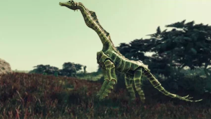 seahorse-345.webp