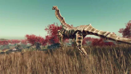 seahorse-367.webp