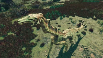 seahorse-374.webp