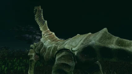 seahorse-389.webp