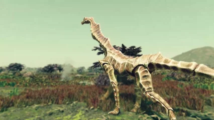 seahorse-390.webp