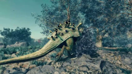 shroomhead-330.webp