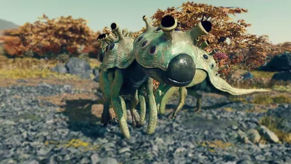 shroomhead-344.webp