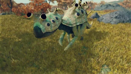shroomhead-389.webp