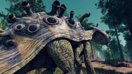 shroomhead-392.webp
