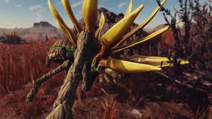 sunflower-394.webp
