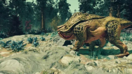 toadface-300.webp