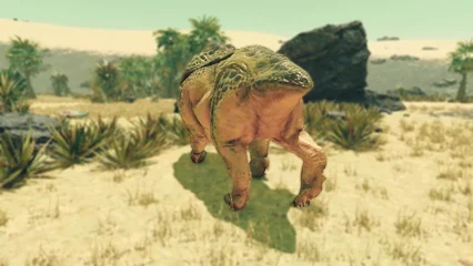 toadface-304.webp