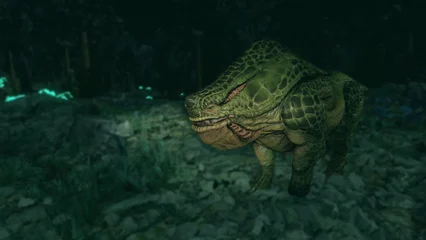 toadface-312.webp